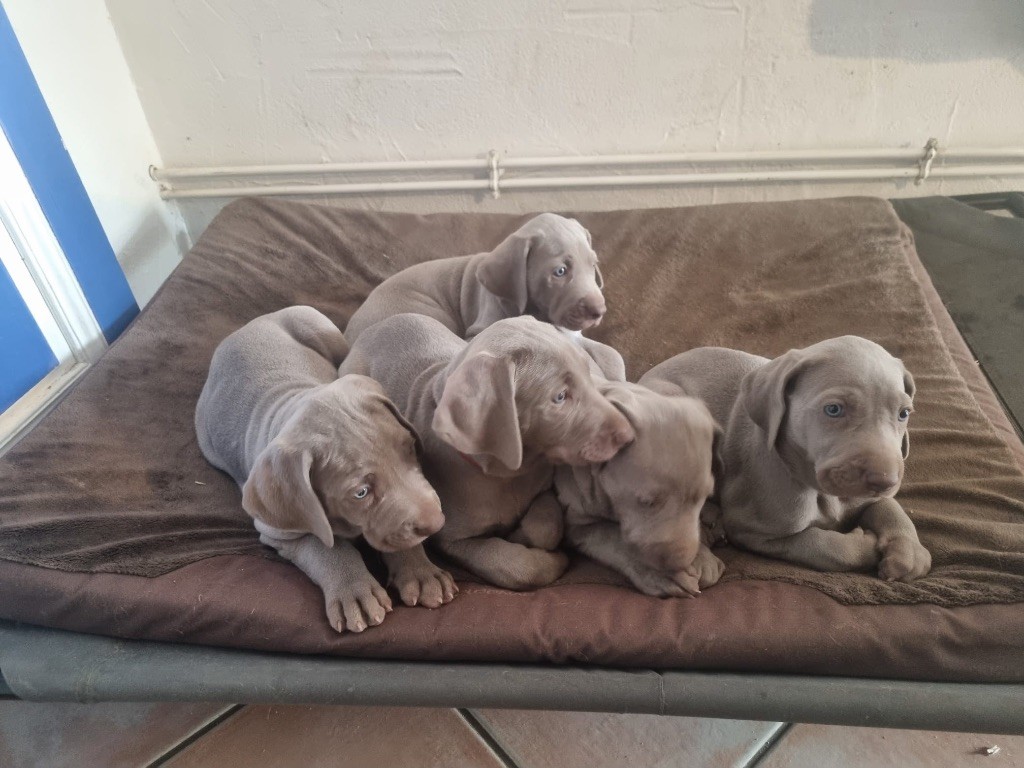 Les bébés grandissent ! 